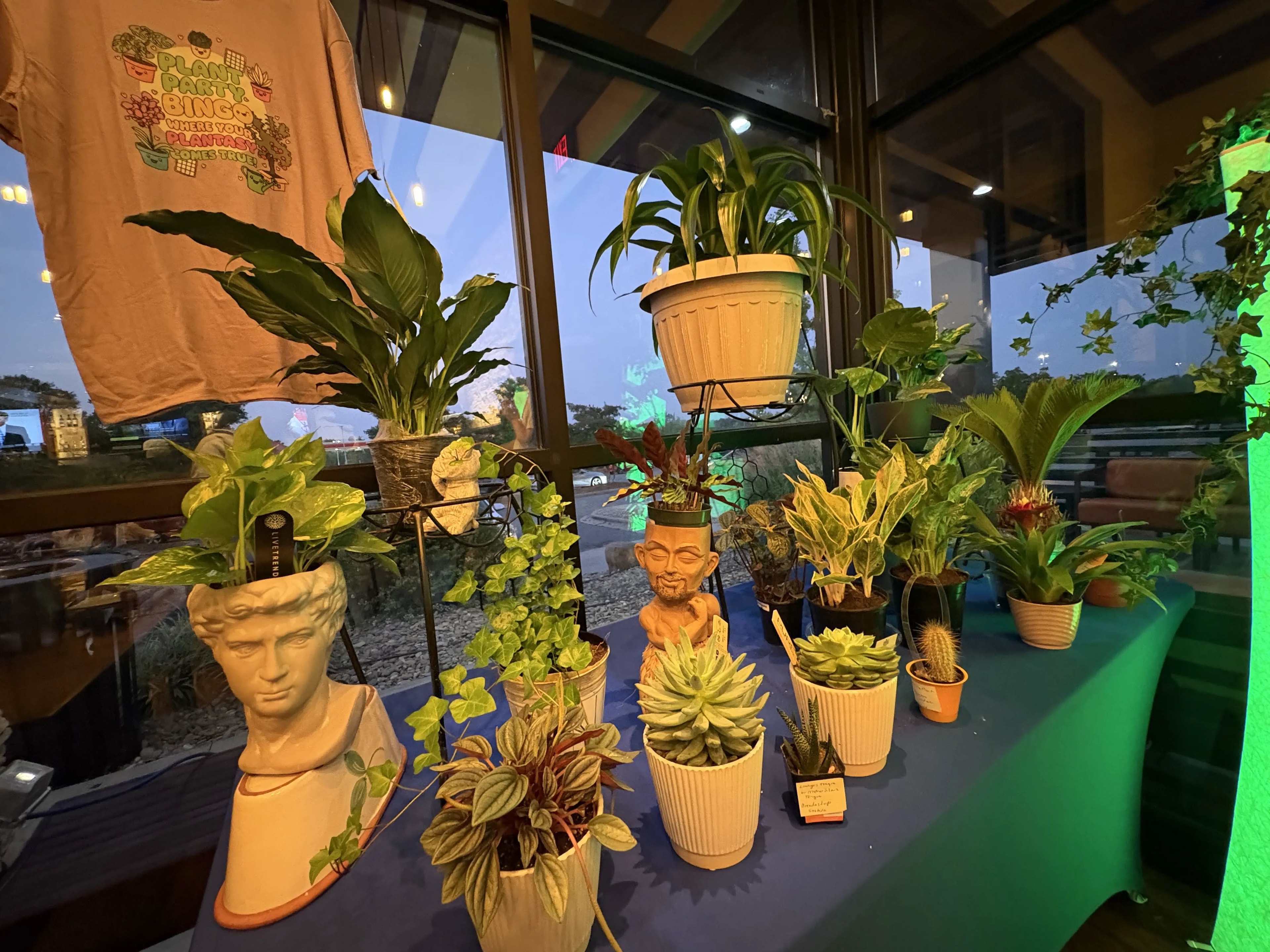 Plant display table with potted plants and PPB t-shirt at Outback Steakhouse